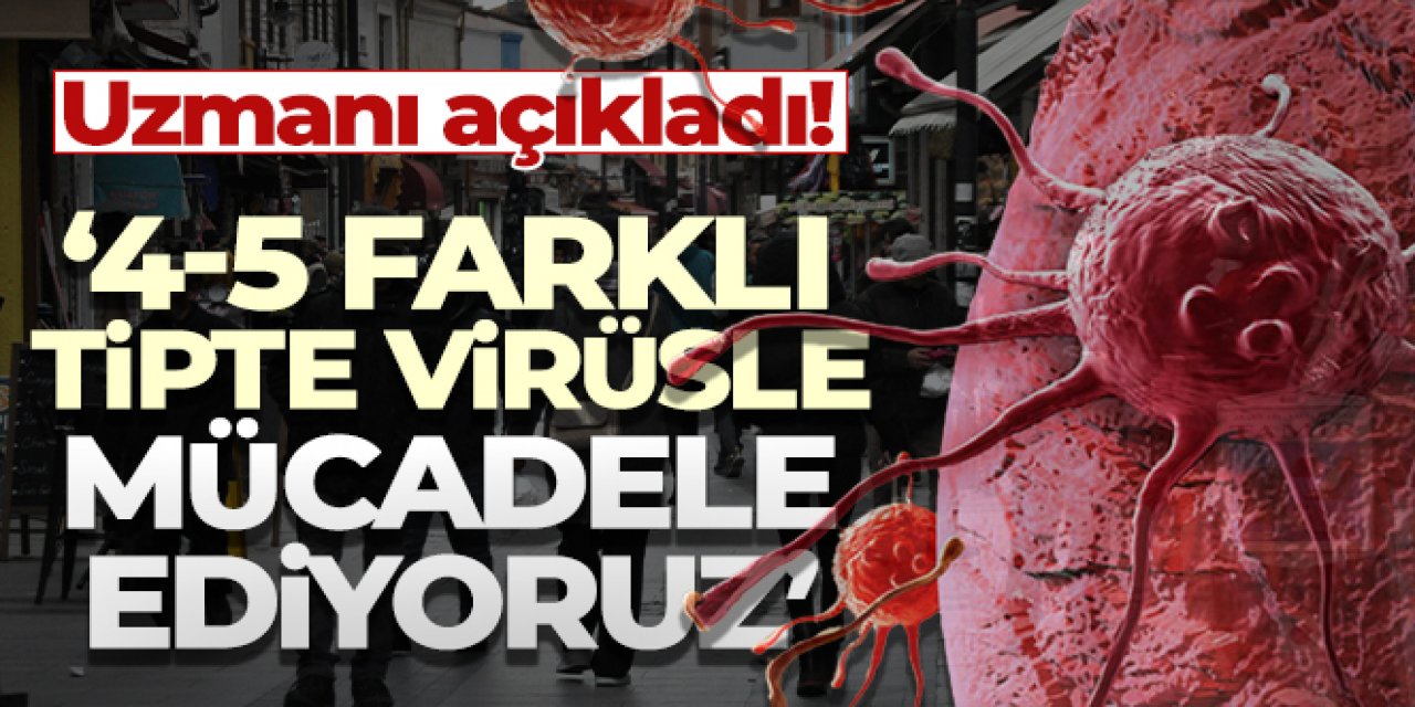 Bilim Kurulu Üyesi Prof. Dr. Alper Şener: '4-5 farklı tipte virüsle mücadele ediyoruz'