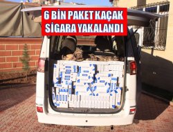 6 bin paket kaçak sigara yakalandı