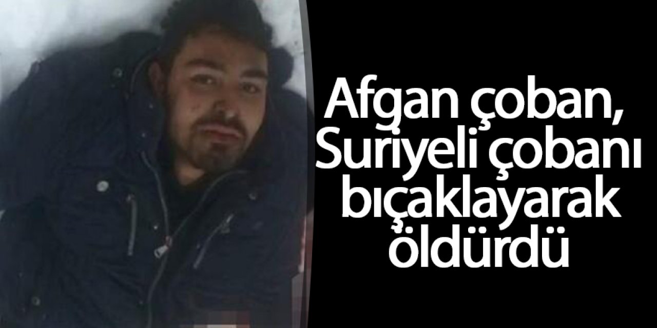 Afgan çoban, Suriyeli çobanı bıçaklayarak öldürdü