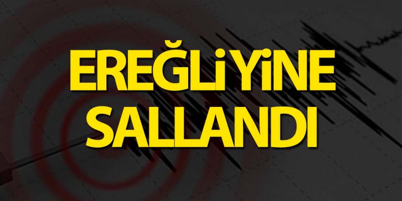 Son dakika! Ereğli yine sallandı
