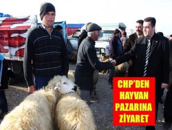 CHP’den hayvan pazarına ziyaret