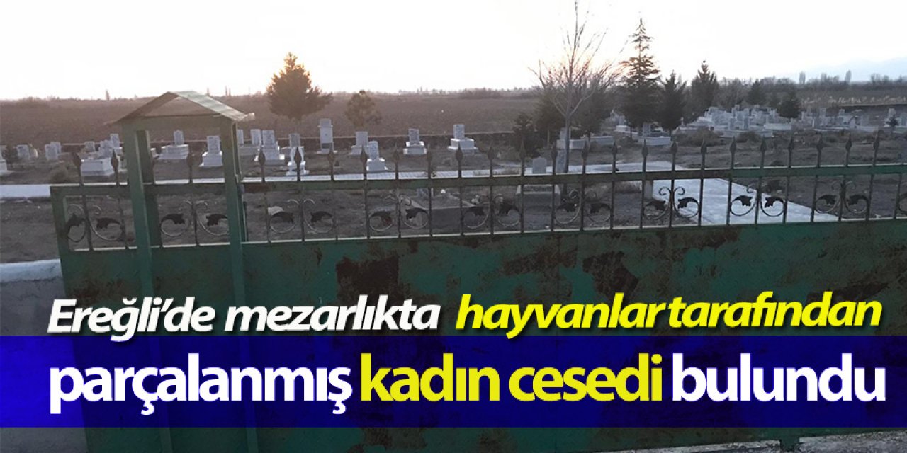 Ereğli’de mezarlıkta hayvanlar tarafından parçalanmış kadın cesedi bulundu