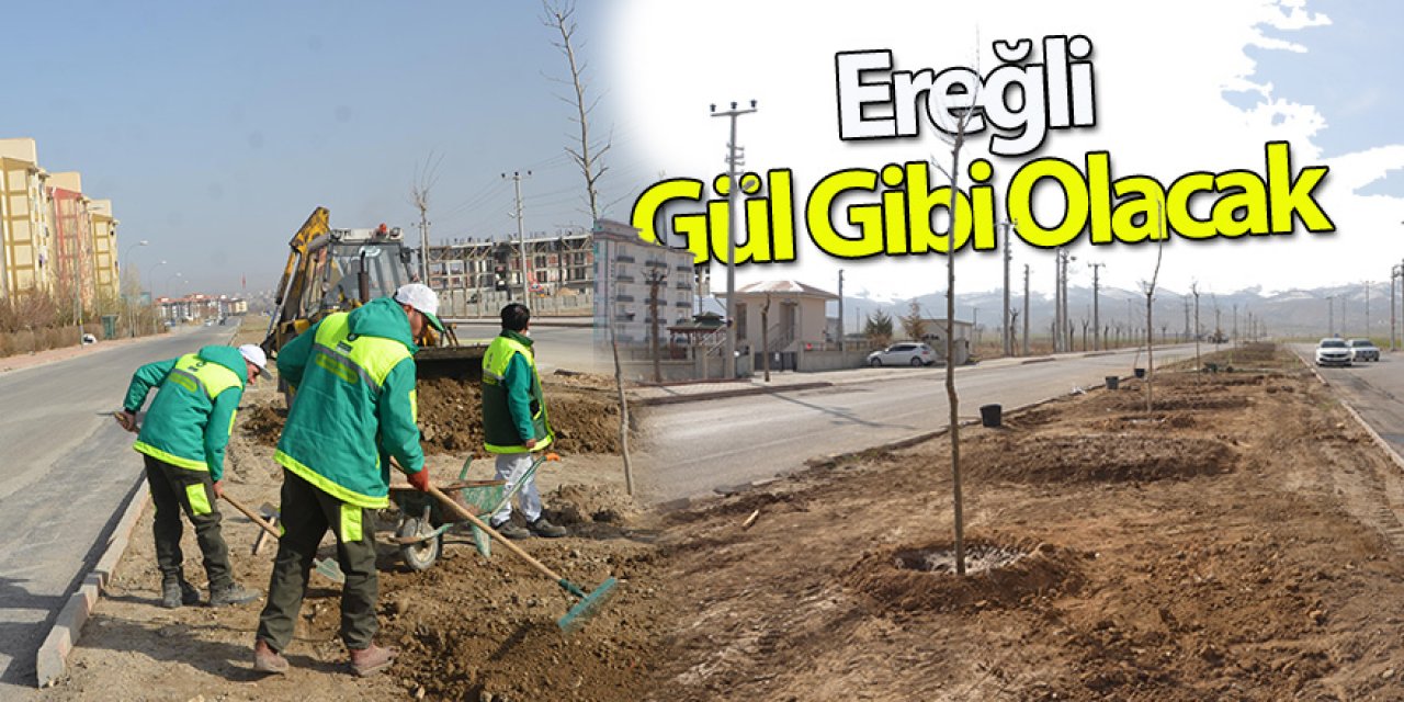 Ereğli Gül Gibi Olacak