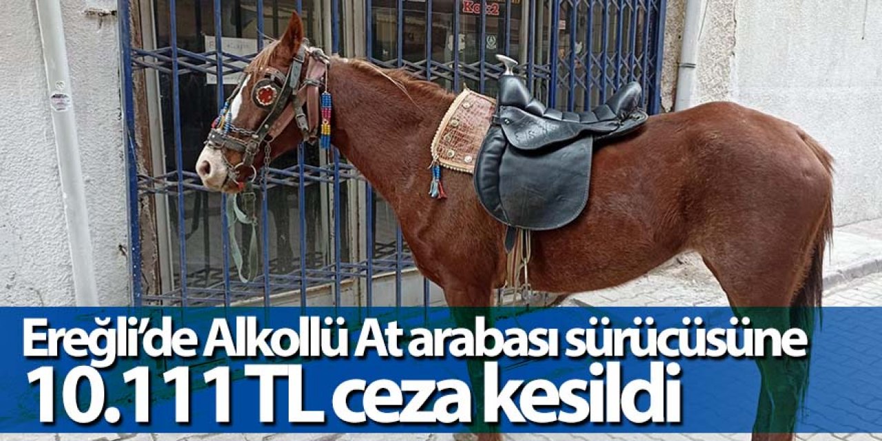 Alkollü At sürücüsüne 10.111 TL ceza