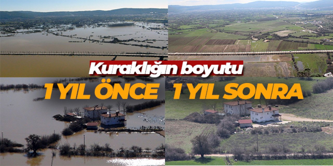 Bir yıl önce, bir yıl sonra
