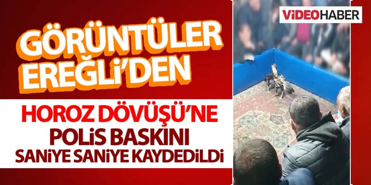 HAYVAN KORUMA DERNEĞİ’NDE HOROZ DÖVÜŞÜNE POLİS BASKINI!