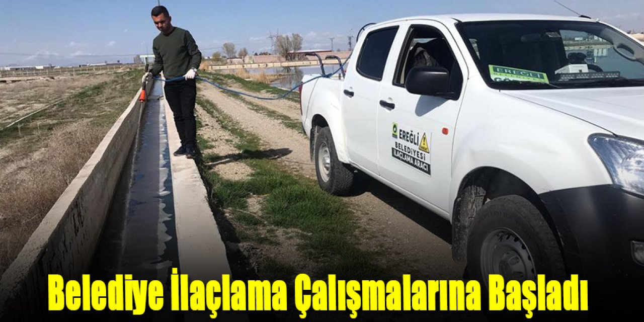 Belediye İlaçlama Çalışmalarına Başladı