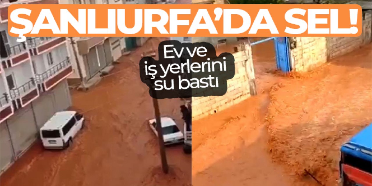 Şanlıurfa'da sağanak yağış sele neden oldu