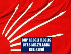 CHP Meclis Üyelerini Belirledi