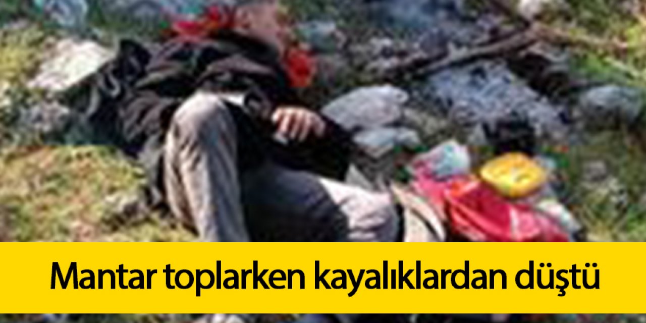 Mantar toplarken kayalıklardan düştü, 9 saatte kurtarıldı