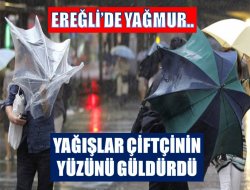 Yağışlar Çiftçinin Yüzünü Güldürdü