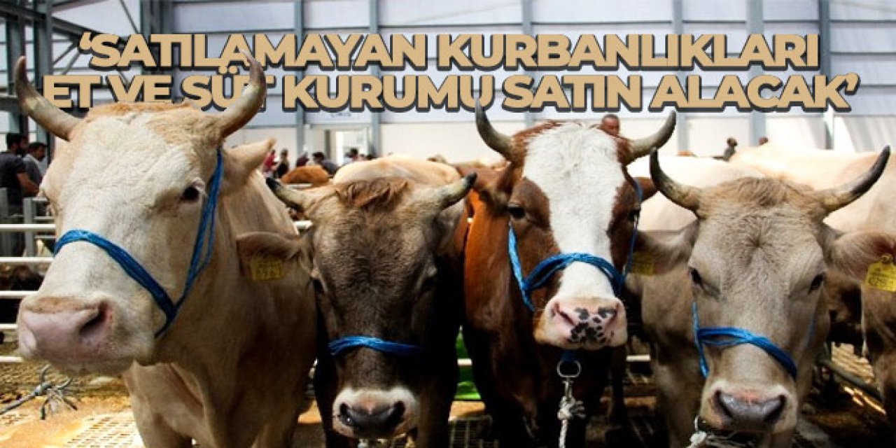 Satılamayan kurbanlıkları Et ve Süt Kurumu satın alacak'