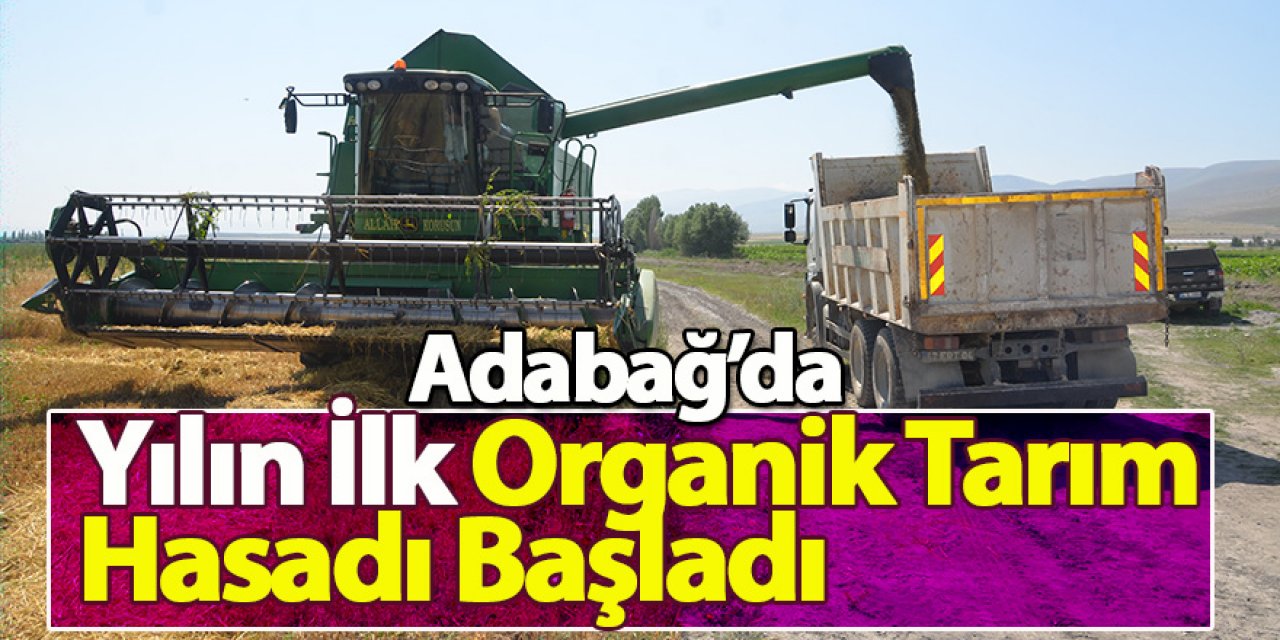 Adabağ’da Yılın İlk Organik Tarım Hasadı Başladı