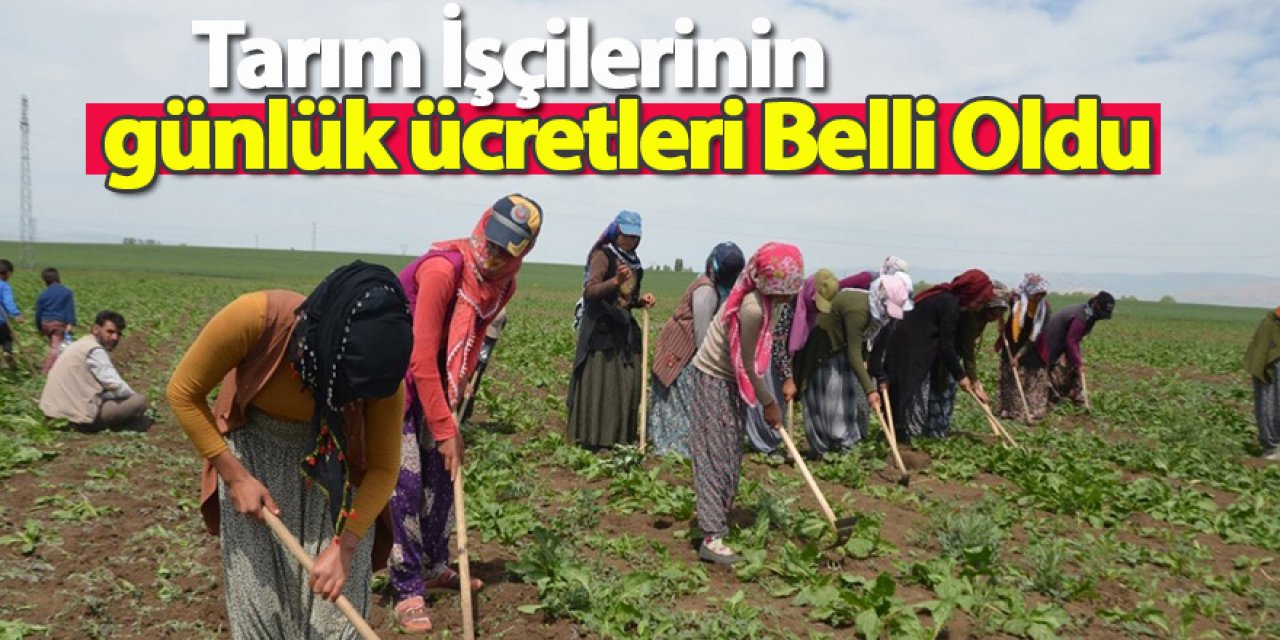 Tarım İşçilerinin günlük ücretleri Belli Oldu