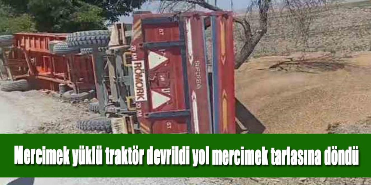 Mercimek yüklü traktör devrildi yol mercimek tarlasına döndü