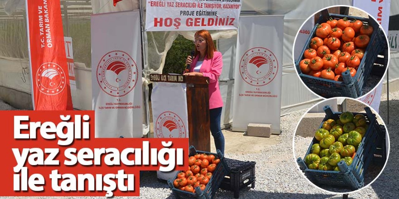 Ereğli yaz seracılığı ile tanıştı