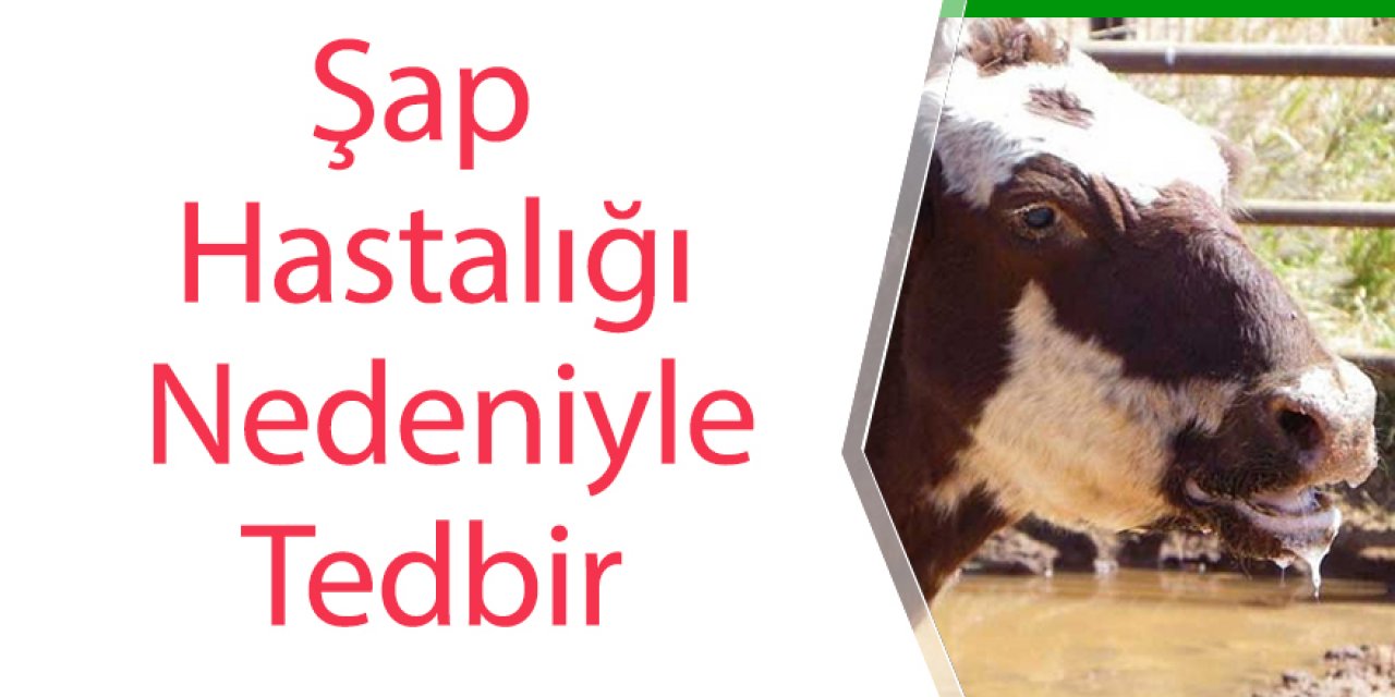 Şap Hastalığı Nedeniyle Tedbir