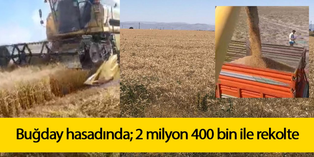 Buğday hasadında; 2 milyon 400 bin ile rekolte