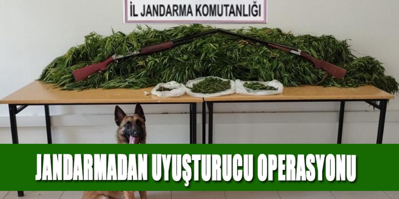 JANDARMADAN UYUŞTURUCU OPERASYONU