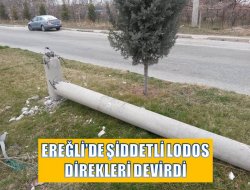 Ereğli’de şiddetli lodos direkleri devirdi