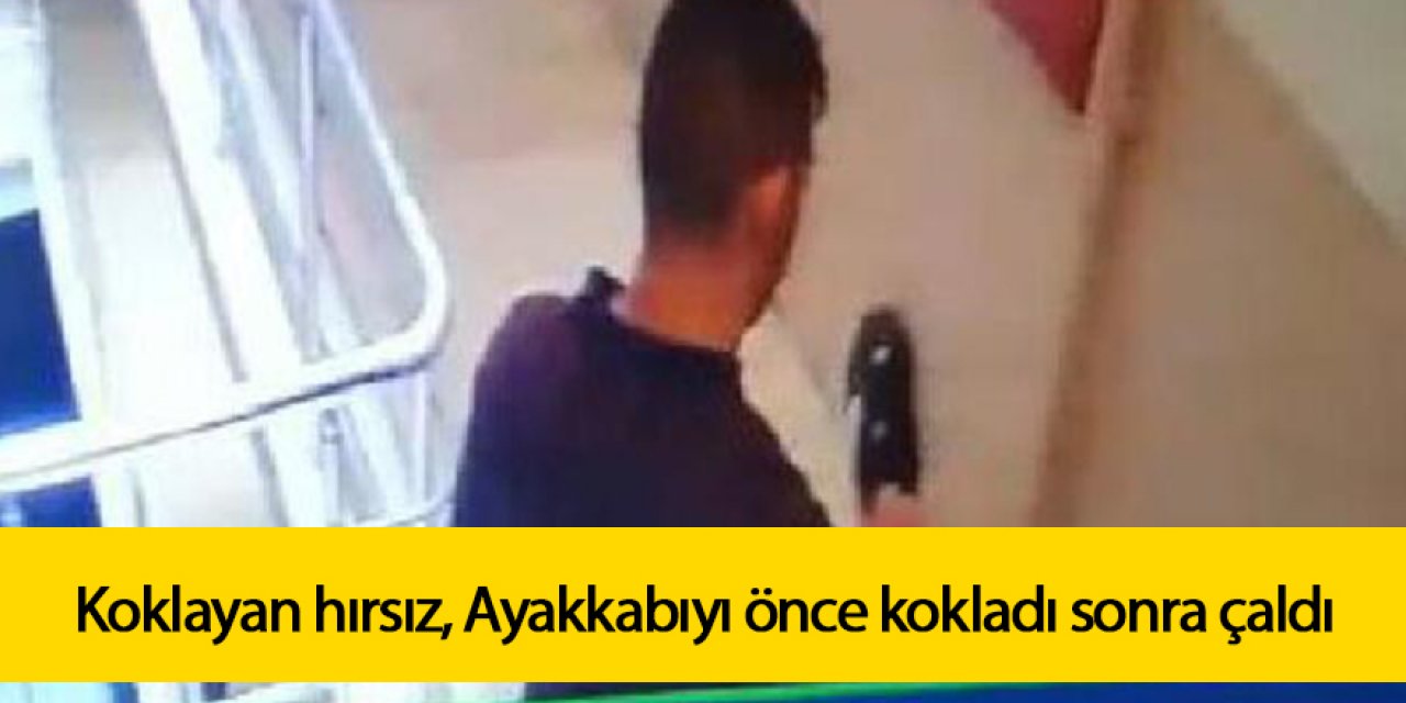 Koklayan hırsız, Ayakkabıyı önce kokladı sonra çaldı
