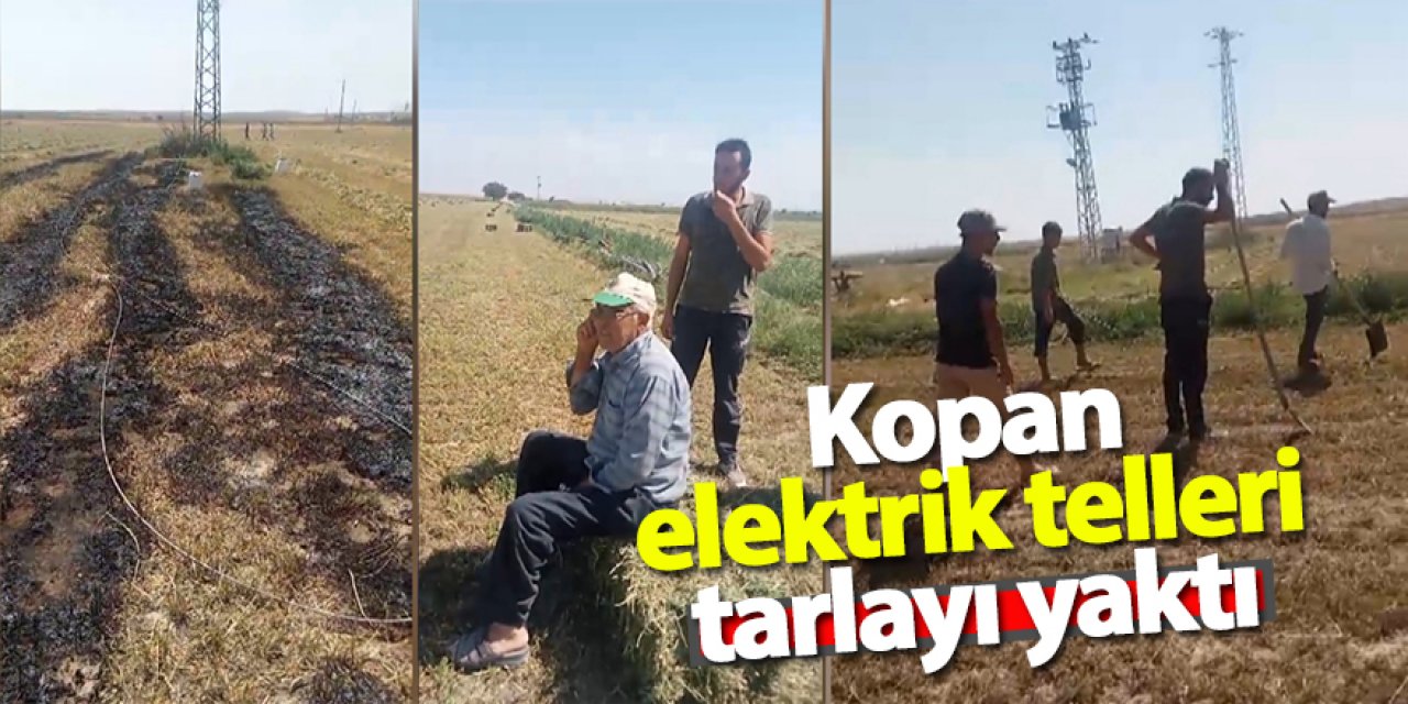 Kopan elektrik telleri tarlayı yaktı 