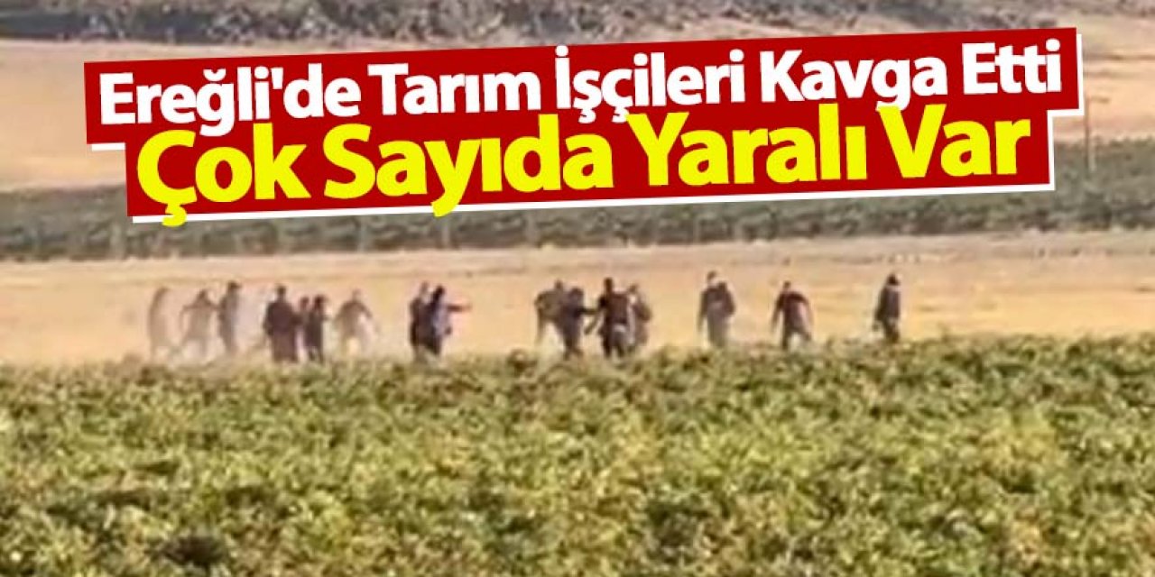 Ereğli'de Tarım İşçileri Kavga Etti Çok Sayıda Yaralı Var