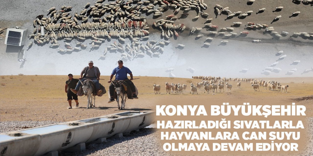 KONYA BÜYÜKŞEHİR SIVATLARLA HAYVANLARA CAN SUYU OLMAYA DEVAM EDİYOR
