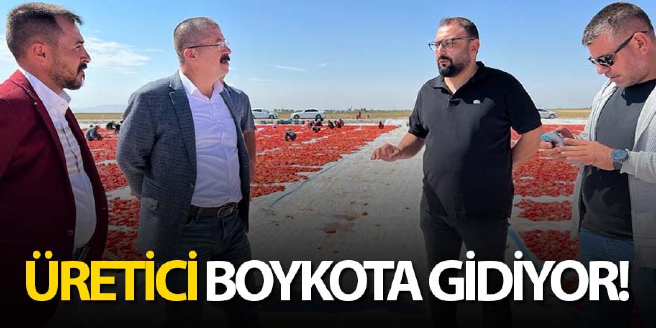 EREĞLİLİ DOMATES ÜRETİCİSİ BOYKOTA GİDİYOR