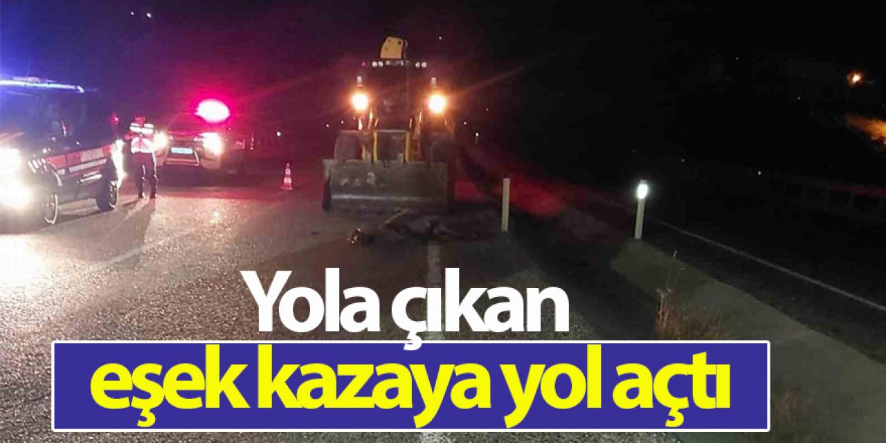Yola çıkan eşek kazaya yol açtı