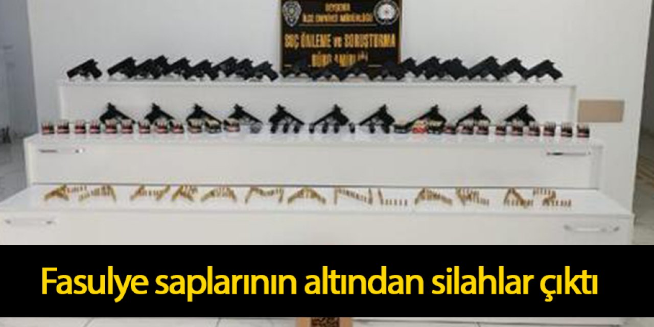 Fasulye saplarının altından silahlar çıktı