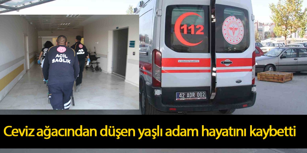 Ceviz ağacından düşen yaşlı adam hayatını kaybetti