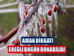 Ereğli’de don uyarısı!