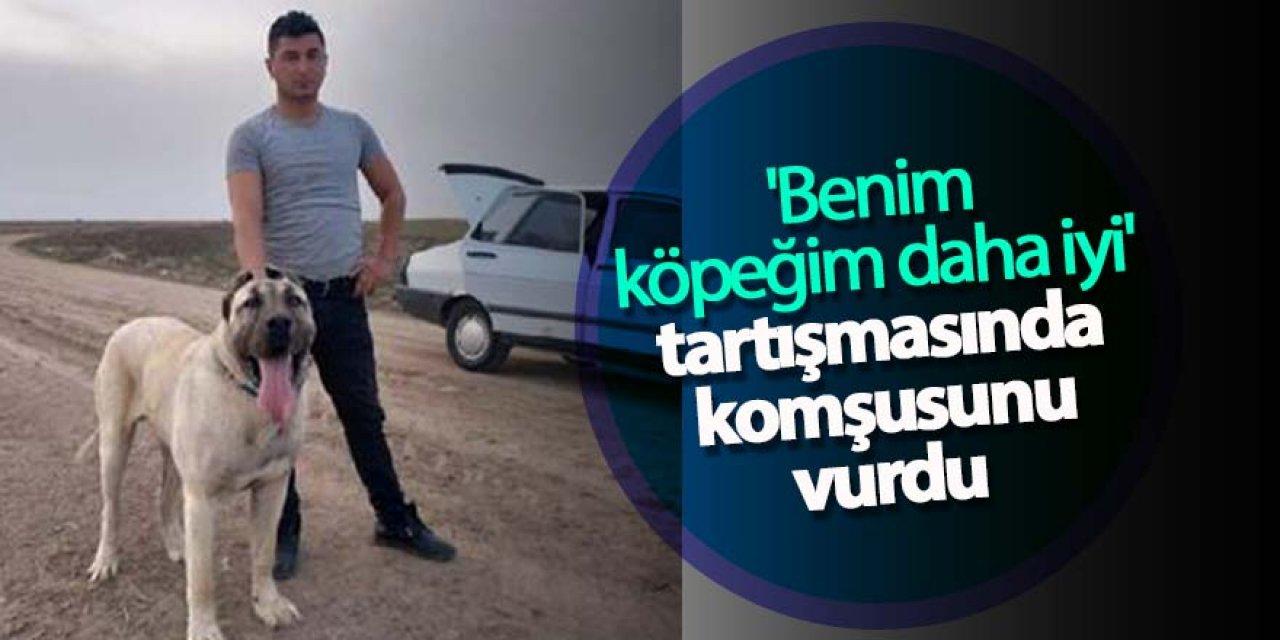 'Benim köpeğim daha iyi' tartışmasında komşusunu vurdu