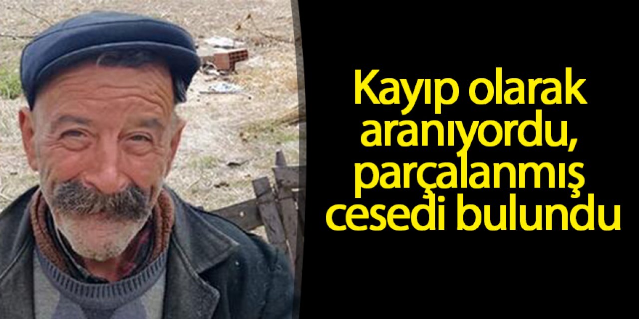 Kayıp olarak aranıyordu, parçalanmış cesedi bulundu