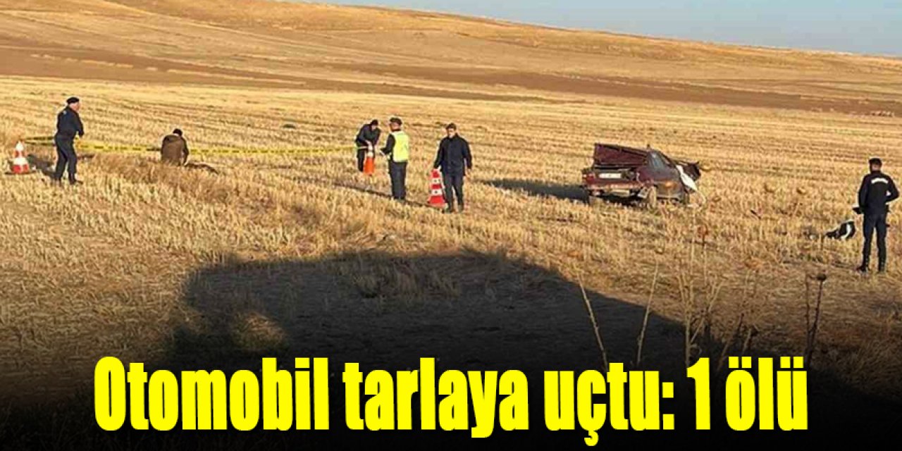 Kontrolden çıkan otomobil takla attı: 1 ölü