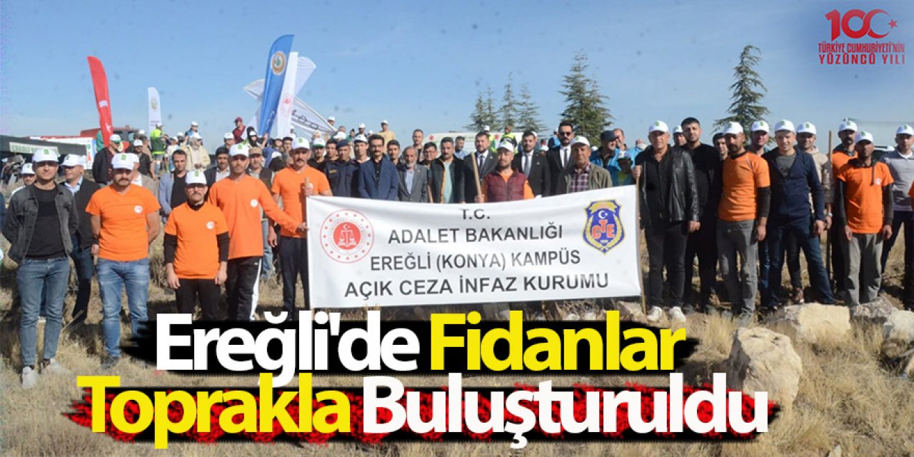 Ereğli'de Fidanlar Toprakla Buluşturuldu
