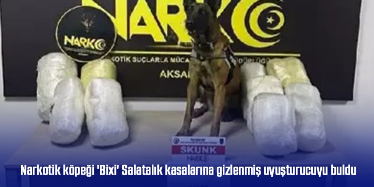 Narkotik köpeği 'Bixi' Salatalık kasalarındaki uyuşturucuyu buldu