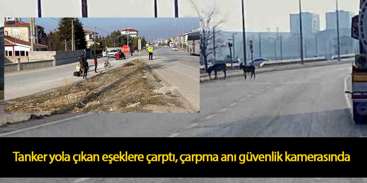 Tanker, yola çıkan eşeklere çarptı