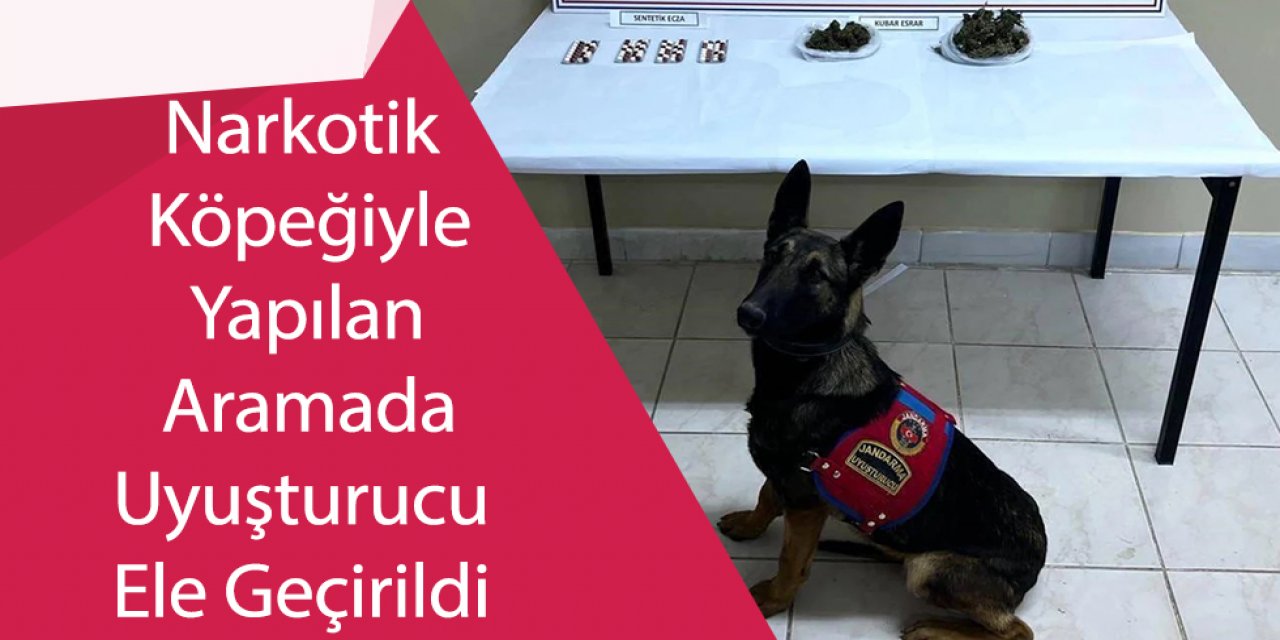  Narkotik Köpeğiyle Yapılan Aramada Uyuşturucu Ele Geçirildi