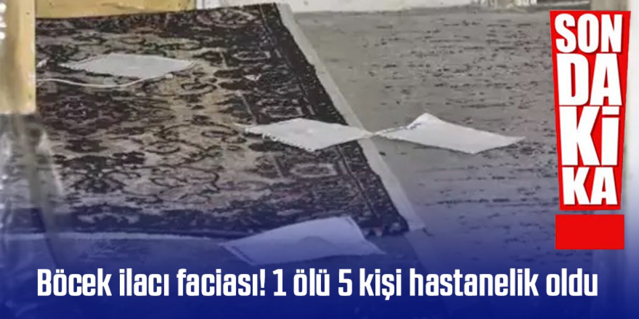 Böcek ilacı faciası: Alt katta dökülen böcek ilacı üst kattaki çocuğun ölümüne sebep oldu