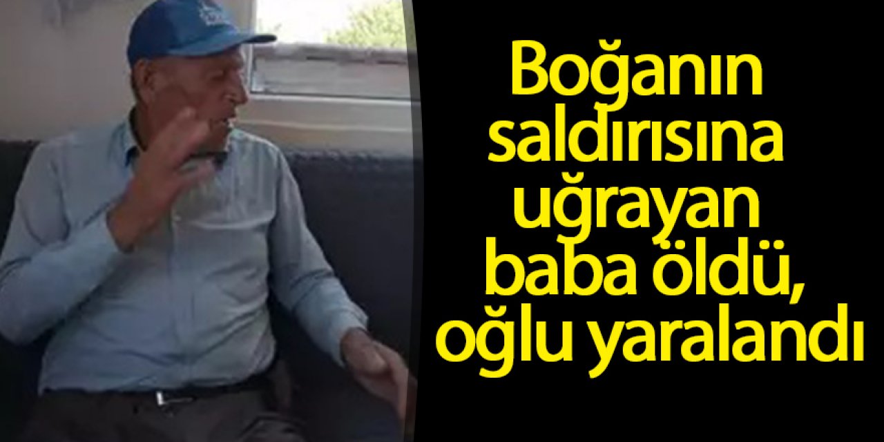 Boğanın saldırısına uğrayan baba öldü, oğlu yaralandı