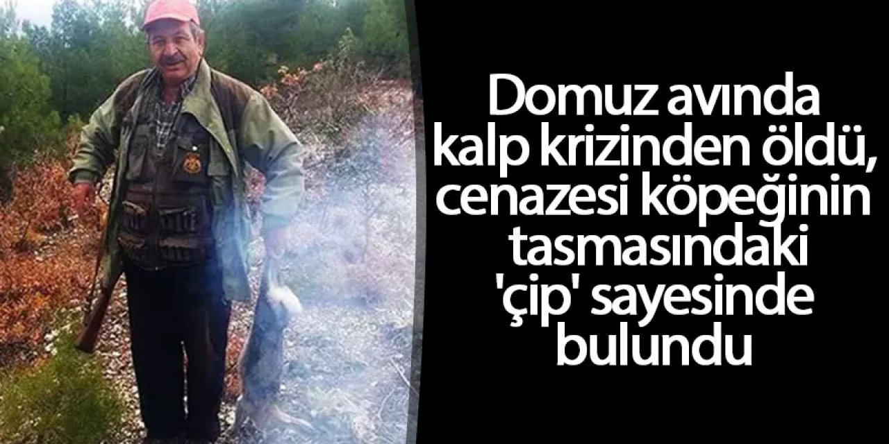 Domuz avında kalp krizinden öldü, cenazesi köpeğinin tasmasındaki 'çip' sayesinde bulundu