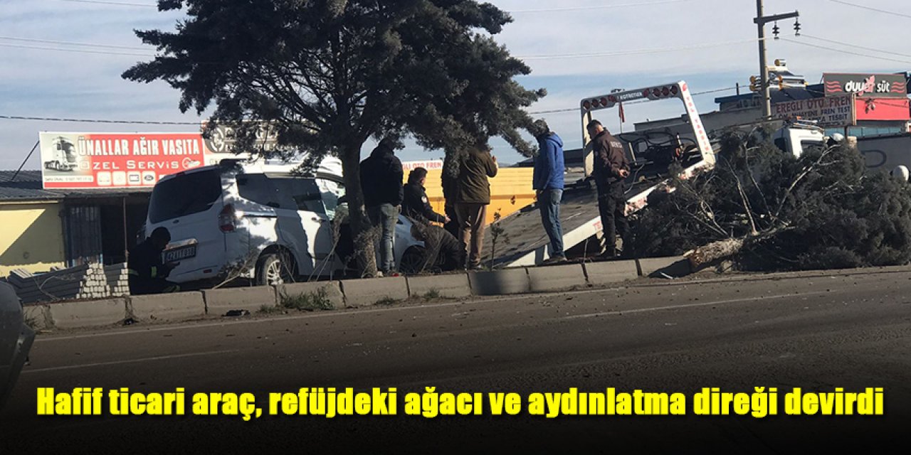 Kontrolden çıkan hafif ticari araç, refüjdeki ağacı ve aydınlatma direği devirdi