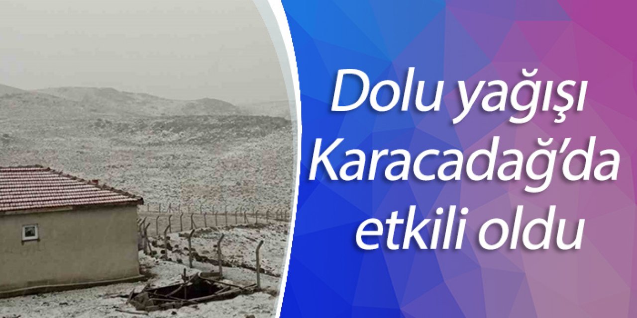 Dolu yağışı Karacadağ’da etkili oldu