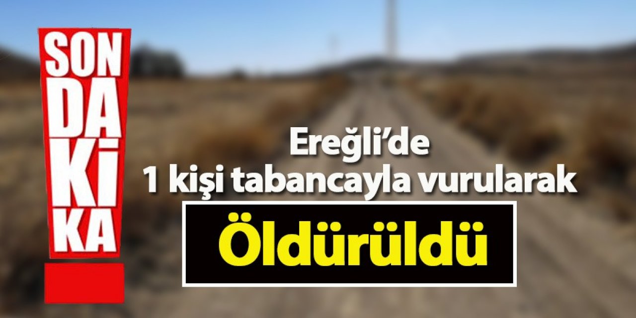 Ereğli’de 1 kişi tabancayla öldürüldü
