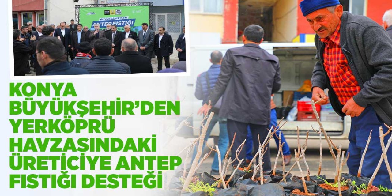 KONYA BÜYÜKŞEHİR’DEN YERKÖPRÜ HAVZASINDAKİ ÜRETİCİYE ANTEP FISTIĞI DESTEĞİ