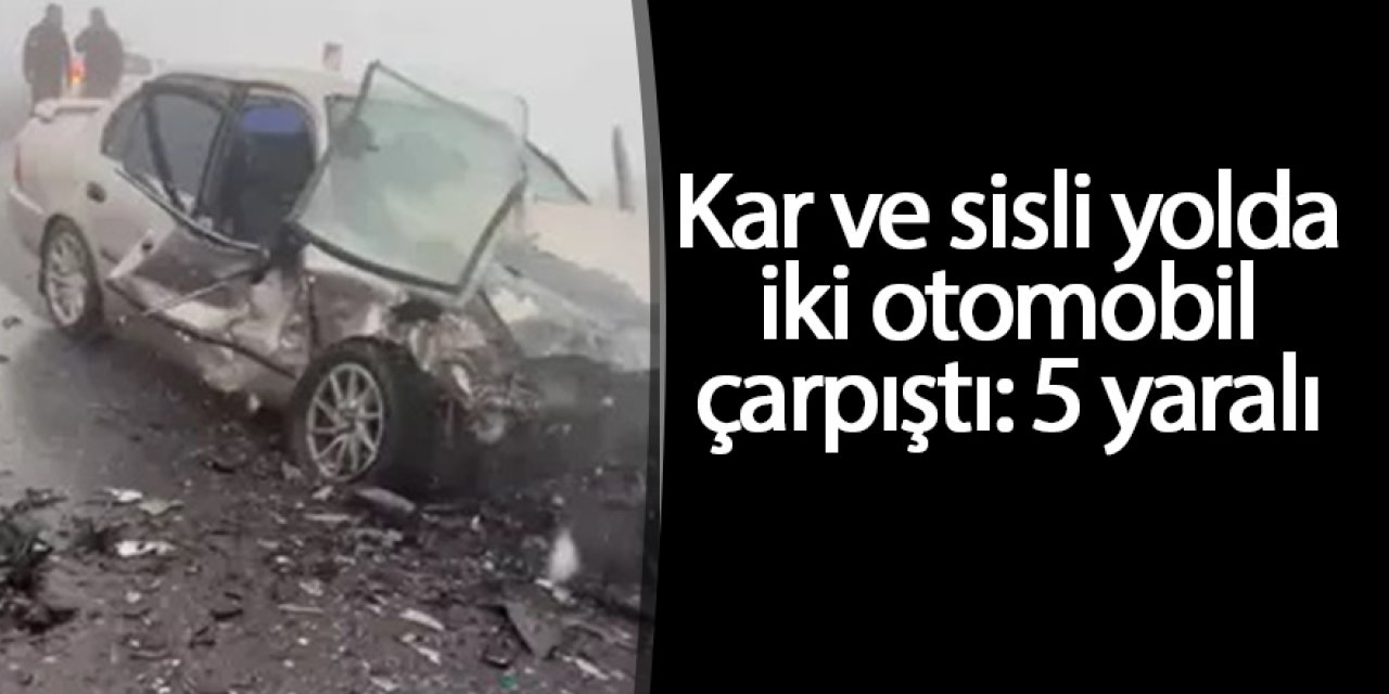Kar ve sisli yolda iki otomobil çarpıştı: 5 yaralı