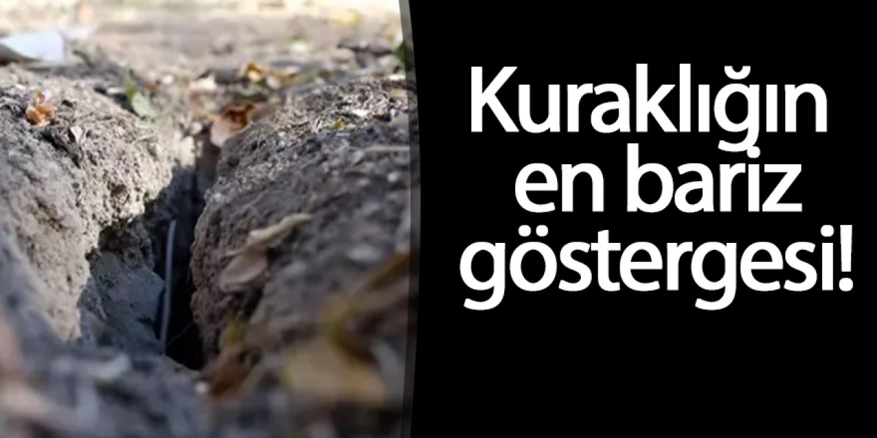 Prof. Dr. Arık: Yüzey yarıkları kuraklığın en bariz göstergelerinden