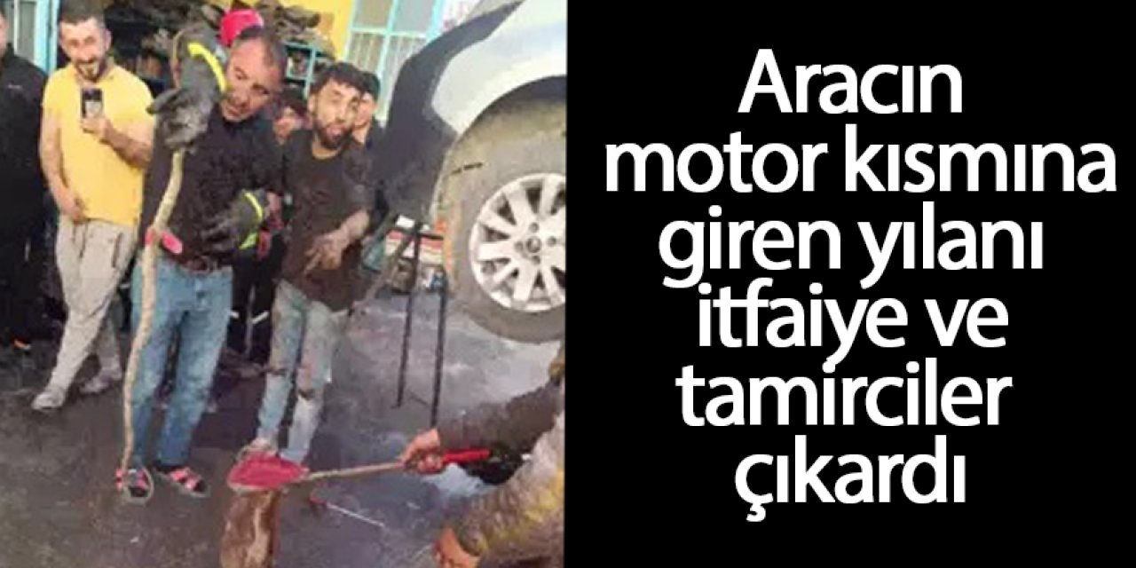 Aracın motor kısmına giren yılanı itfaiye ve tamirciler çıkardı